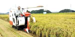鳥取市さとに千両・古民家・BBQ・バーベキュー・ランチ・レンタルスペース