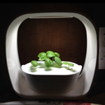 鳥取市さとに千両・古民家・BBQ・バーベキュー・ランチ・BBQ・レンタルスペース