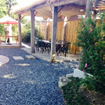 鳥取市さとに千両・古民家・BBQ・バーベキュー・ランチ・BBQ・レンタルスペース