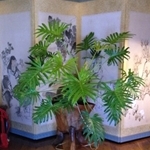 鳥取市さとに千両・古民家・BBQ・バーベキュー・ランチ・BBQ・レンタルスペース